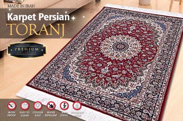 PERSIAN RUGS TORANJ 100X150